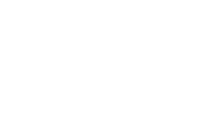 Europe Consulting